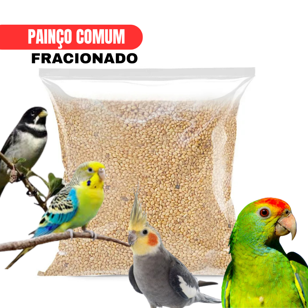 Até 5kg Painço Comum à Granel - Passaro Calopsita Coleiro Periquito Papagaio Periquito