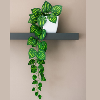 Arranjo Completo: São 3 Correntes Trepadeira Planta Caida + 1 Vaso Quadrado Branco Tamanho G Completo em Oferta na Shopee