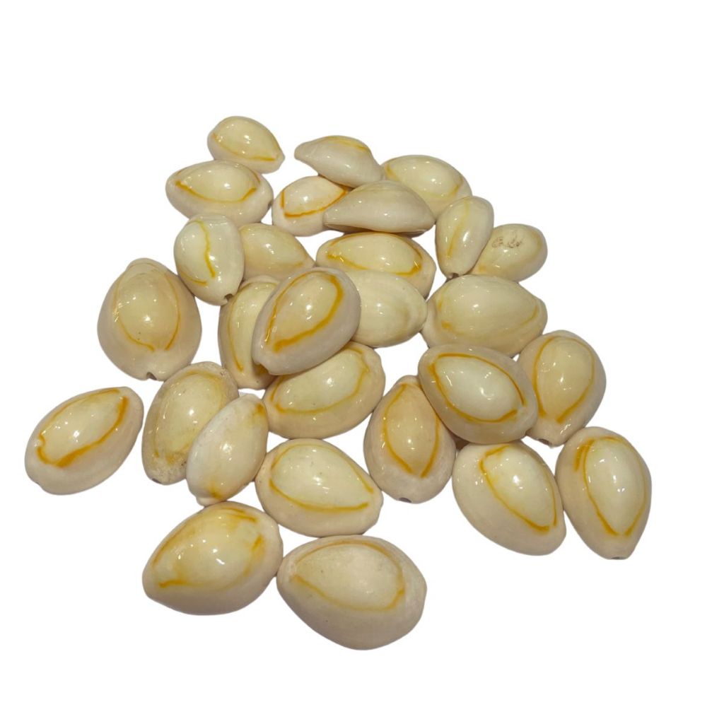 Búzios Branco Natural Fechado Umbanda e Candomblé Unidade.