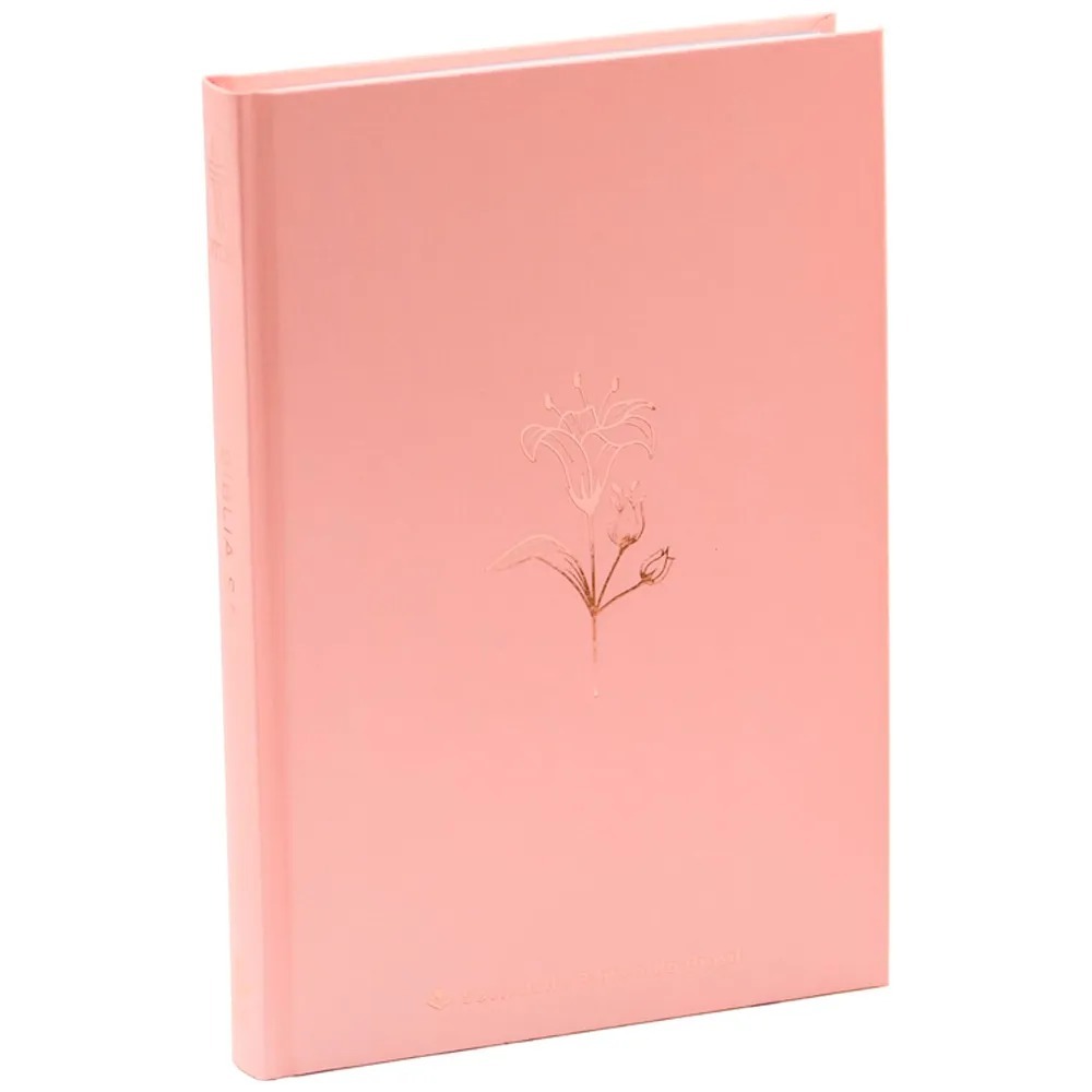 Bíblia Ntlh Capa Dura: Onde Comprar | BuscaProdutos