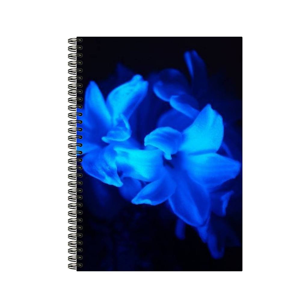 Caderno com Estética Azul – Simples, Bonito e Perfeito para Estudos ou Trabalho