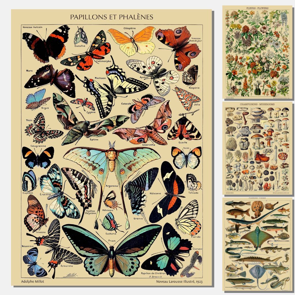 Poster Retrô: Guia Completo e Onde Comprar | BuscaProdutos