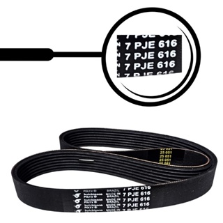 Correia Tanquinho Newmaq 10 kg 7 PJE 616 Original em Oferta na Shopee