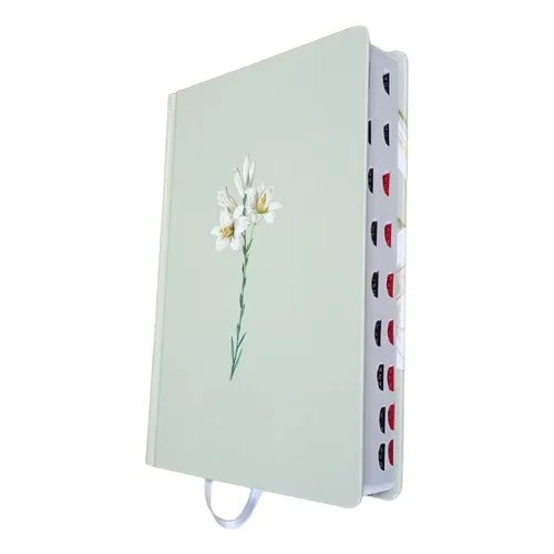 Bíblia Nvi com Indice Lateral: Onde Comprar | BuscaProdutos