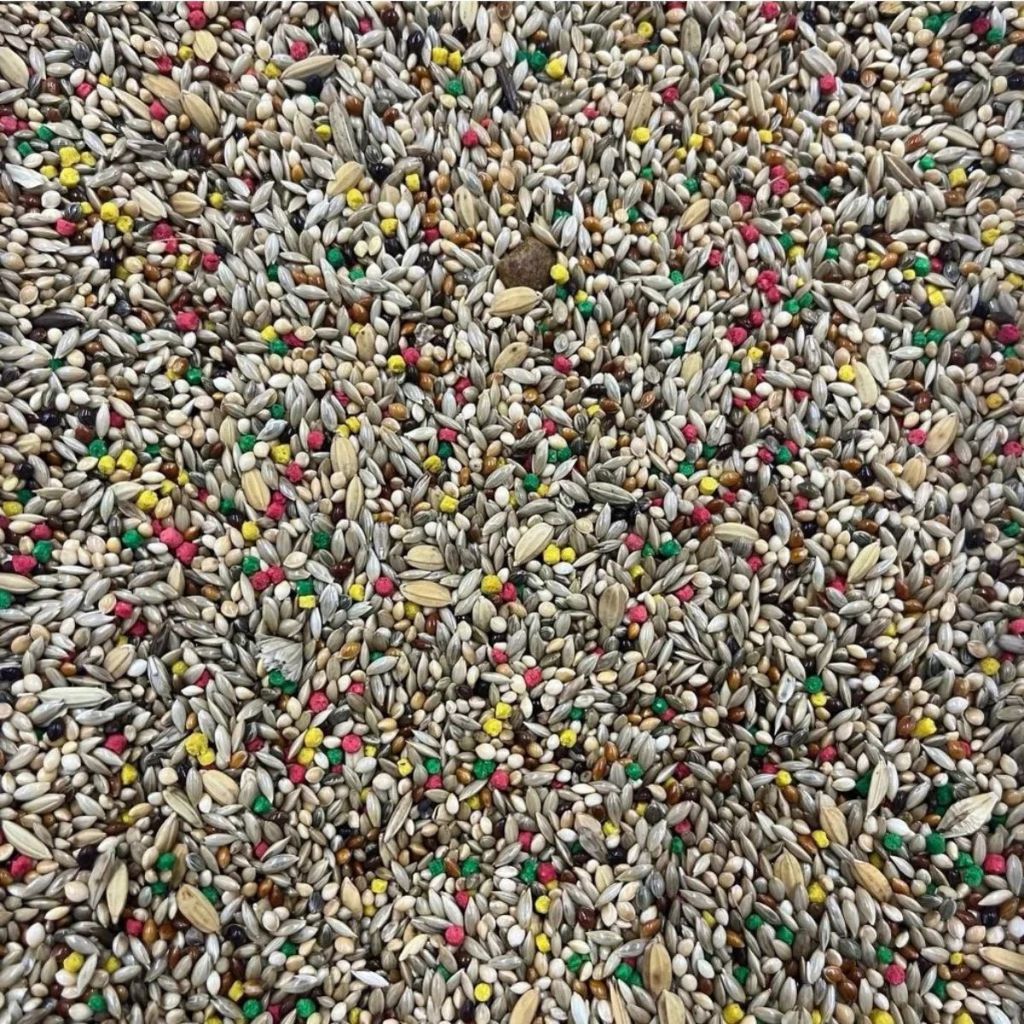 Mistura Alimento Para Curió Bicudo E Pintassilgo 5kg