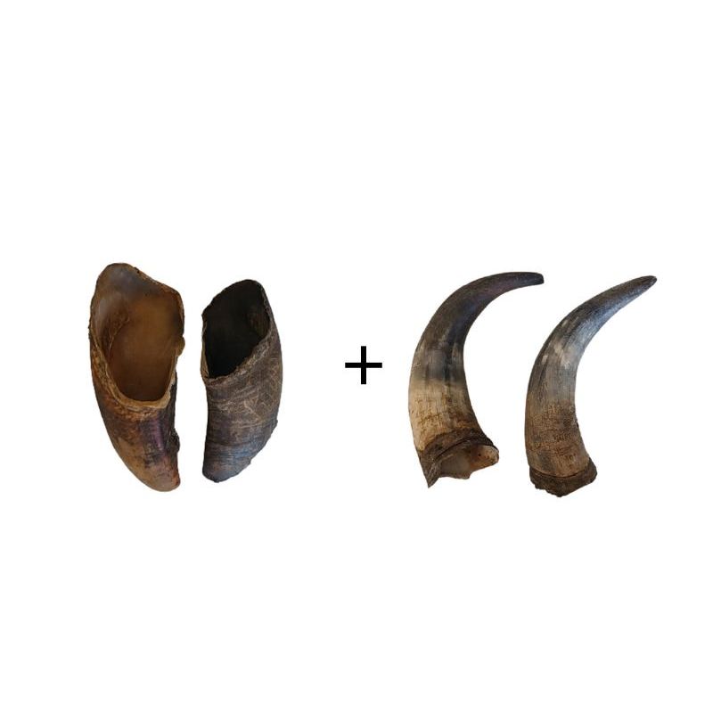 Kit 2 Casco Bovino + 2 Chifre 100% Natural Mordedor para cães
