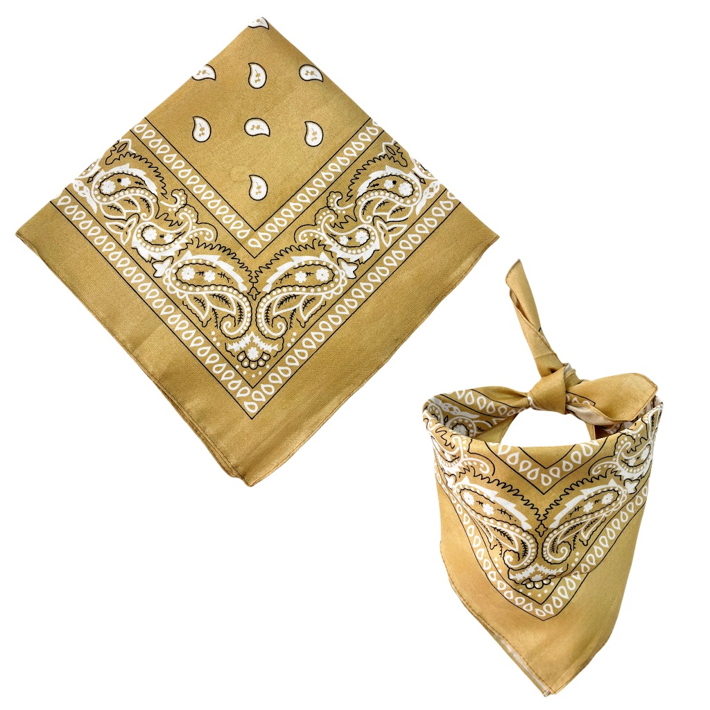 O que é Cachecol Bege? Guia e Onde Comprar | BuscaProdutos