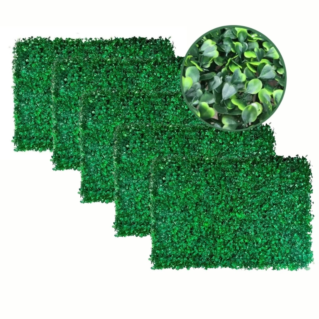 Buchinho Planta Natural: Onde Comprar | BuscaProdutos