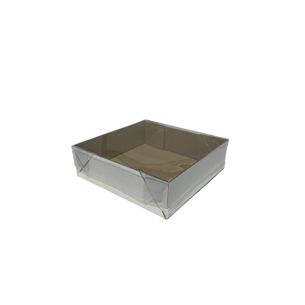Embalagem Caixa Frios 17,5x17,5x5 Cm(10 Unidades)