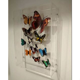 Moldura de parede em Acrílico ( diversos tamanhos) em Oferta na Shopee