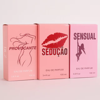 Kit 3 Perfumes Femininos Ref Importado 100ml cada