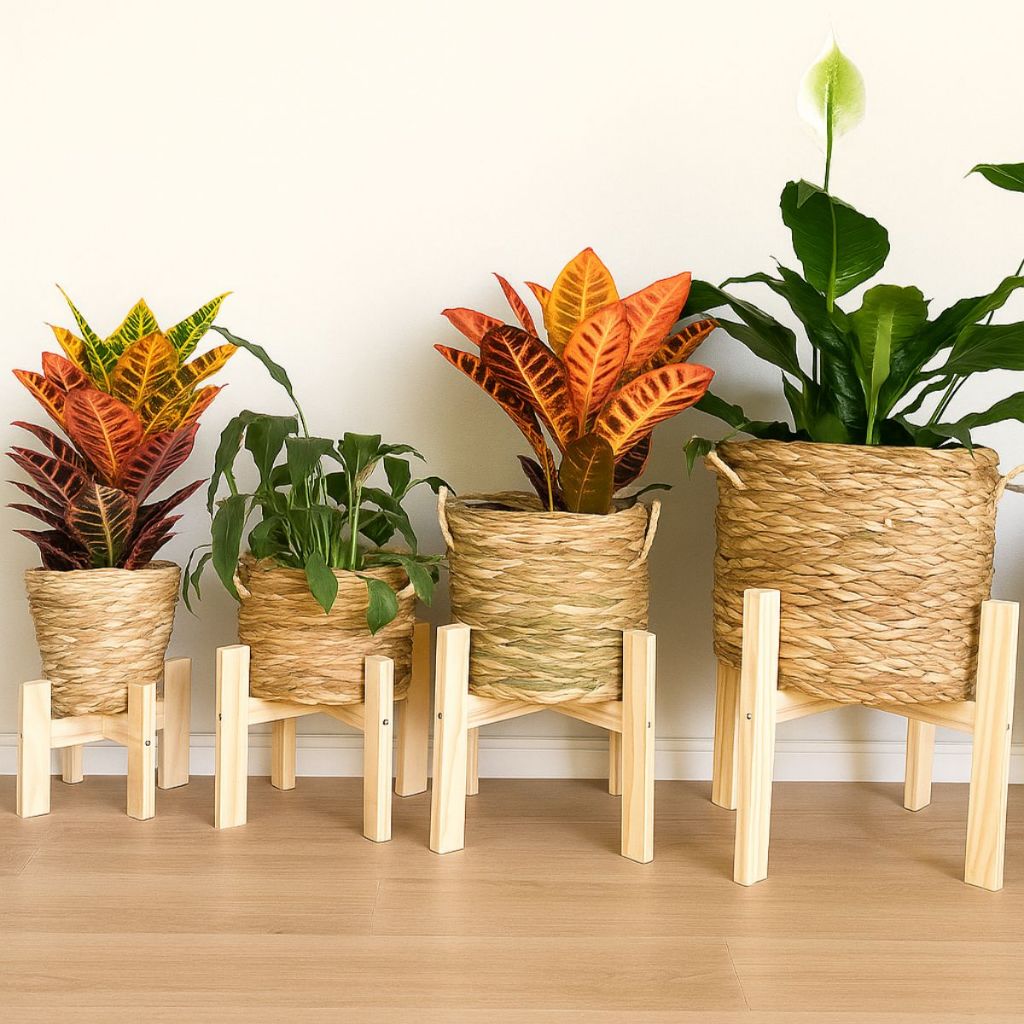 Suporte Madeira Pinus Vaso Planta Decoração Enfeite Ambiente Verde Jardim Casa Interiores