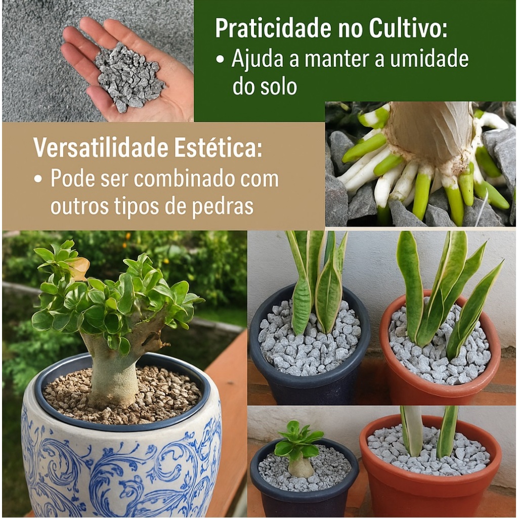 Pedrisco Limpo direto da Pedreira Jaguary – 1kg de beleza natural para vaso ou jardim!