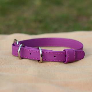 Coleira Roxa Cachorro Couro Legítimo Roxinha Linda Delicada Artesanal em Oferta na Shopee