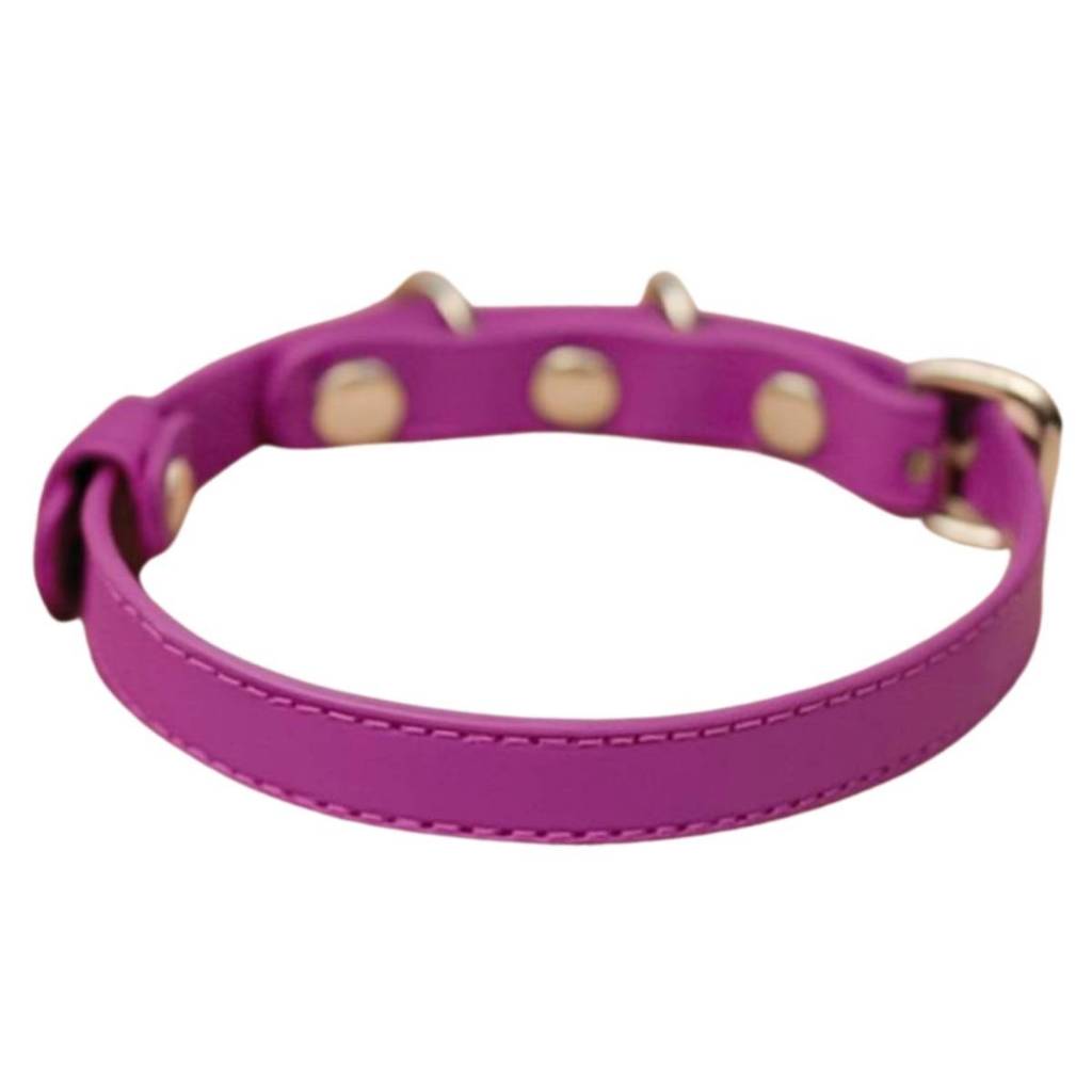 Coleira para Cachorro Lulu da Pomerania: Onde Comprar | BuscaProdutos