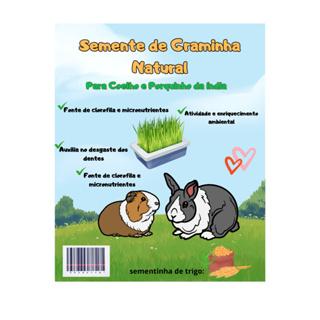 Sementes Graminha Natural para coelho e porquinho da índia Enriquecimento Ambiental em Oferta na Shopee