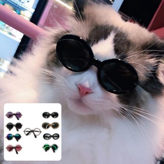 Óculos de Sol Estilosos p/ Pet – Proteção e Charme p/ Cães e Gatos em Várias Cores e Modelos LR-0302 em Oferta na Shopee