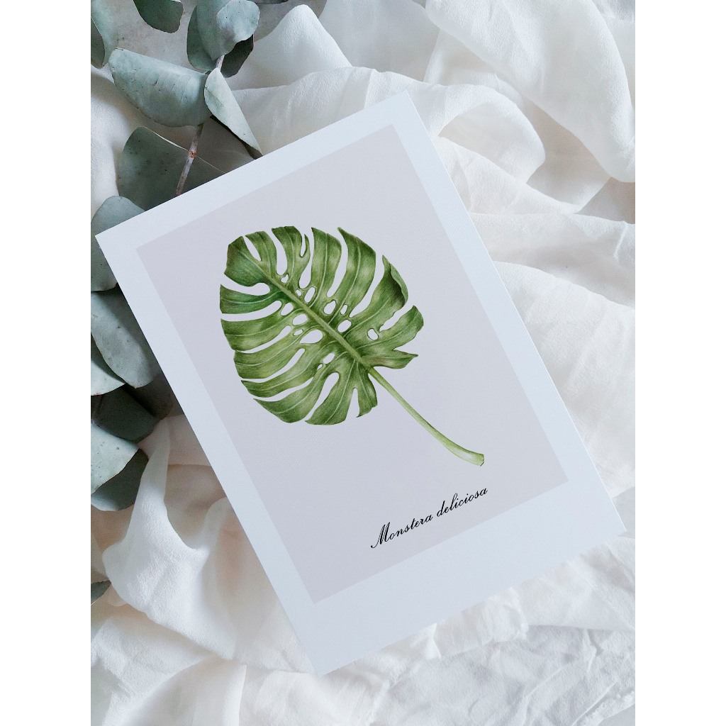 kit cartão com ilustração botânica A6