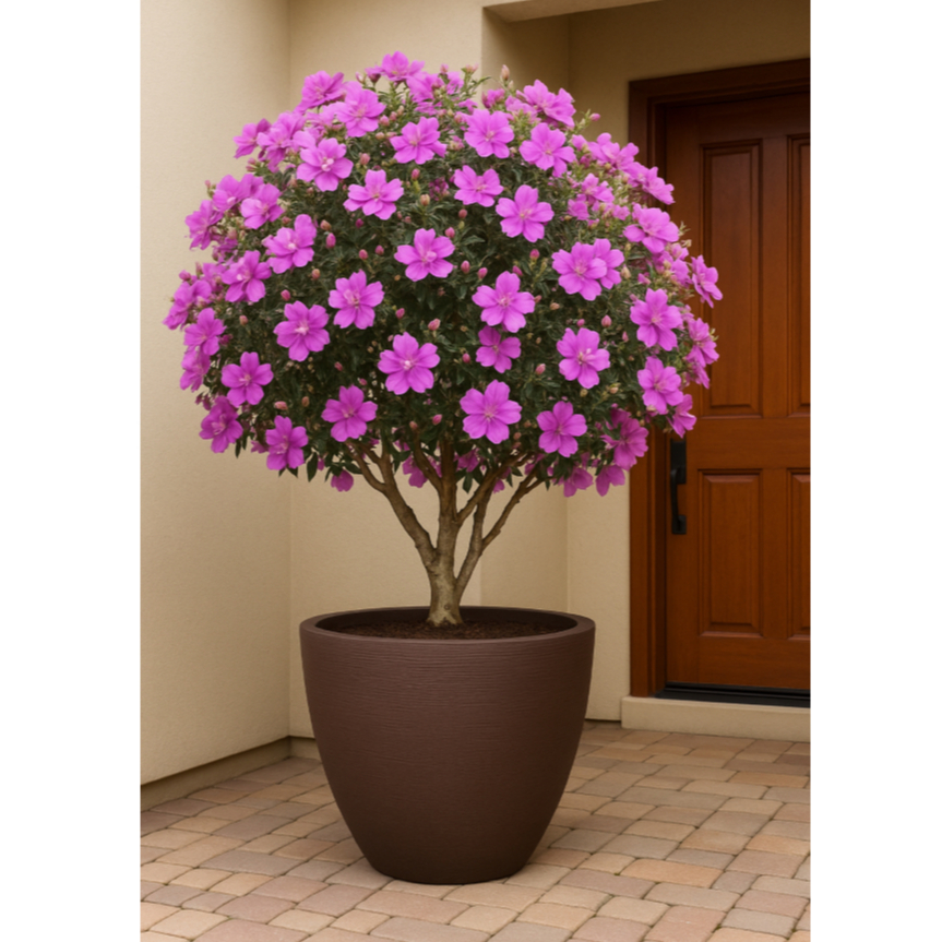 Vaso de Planta Decorativo Reciclável em Polietileno Redondo Cone vaso grande – Ref. 75