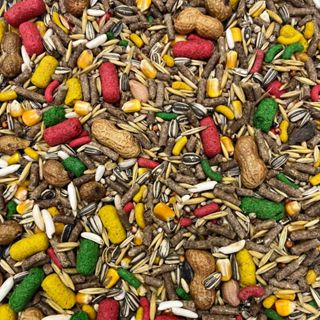 Ração para Hamster, Chinchila e Porquinho da Índia 5Kg em Oferta na Shopee