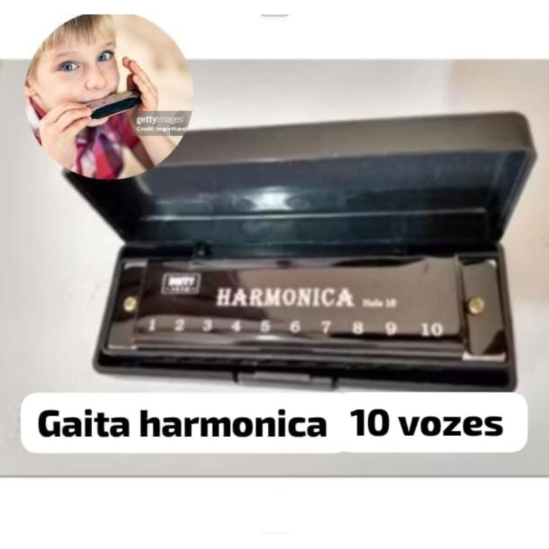 Gaita harmonica Blues em Do C 10 Vozes Diatônica Instrumento músical sopro Estudante Premium cores sortida