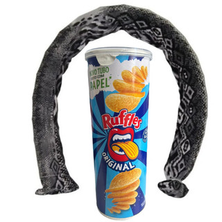 Lata Pode de Batatas Cobra que Pula R uff les Pegadinha Susto Trolagem Brincadeira Amigos Familia Diversão