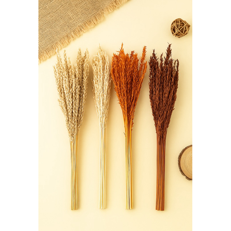 Capim desidratado Flor de Milho Buque, Aranjo Decoração Festas e Casamentos