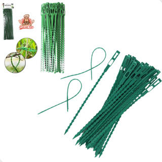 Kit 30 Abraçadeiras Para Plantas e Flores Jardinagem em Oferta na Shopee