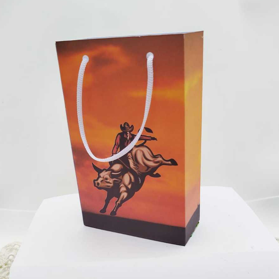 ENVIO RÁPIDO Kit Sacolinha Surpresa Personalizado BOIADEIRO HARAS Lembrancinhas Aniversário PEGUE E MONTE