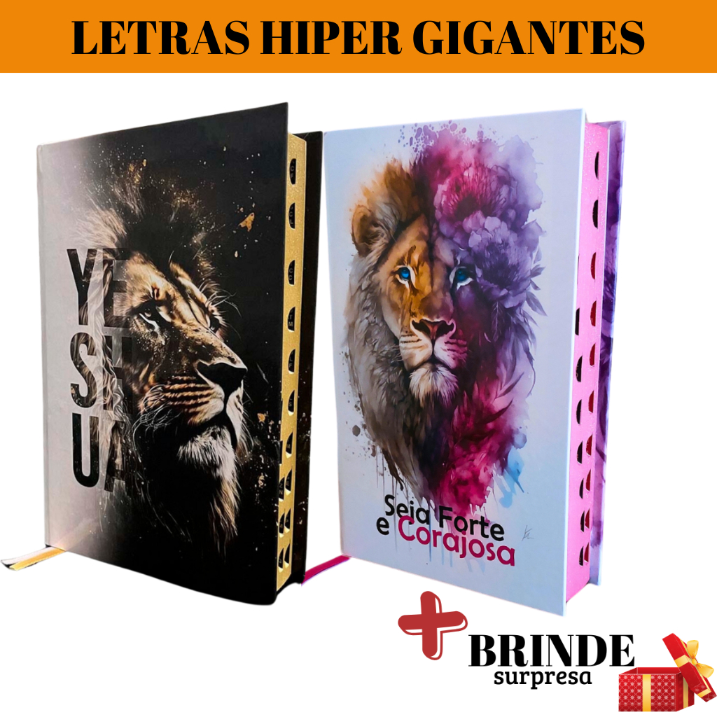 Bíblia do Homem: Onde Comprar | BuscaProdutos