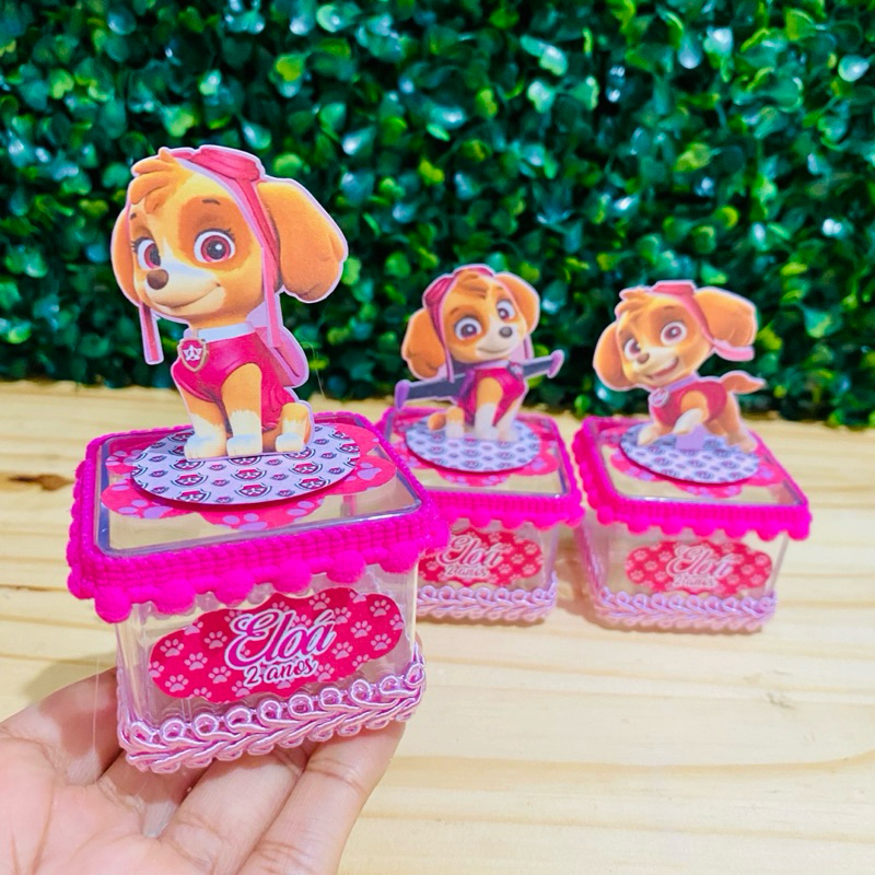 Kit 10 Caixas Acrílica 5x5 Skye Patrulha Canina Lembrancinha Personalizada Luxo | Festa Infantil