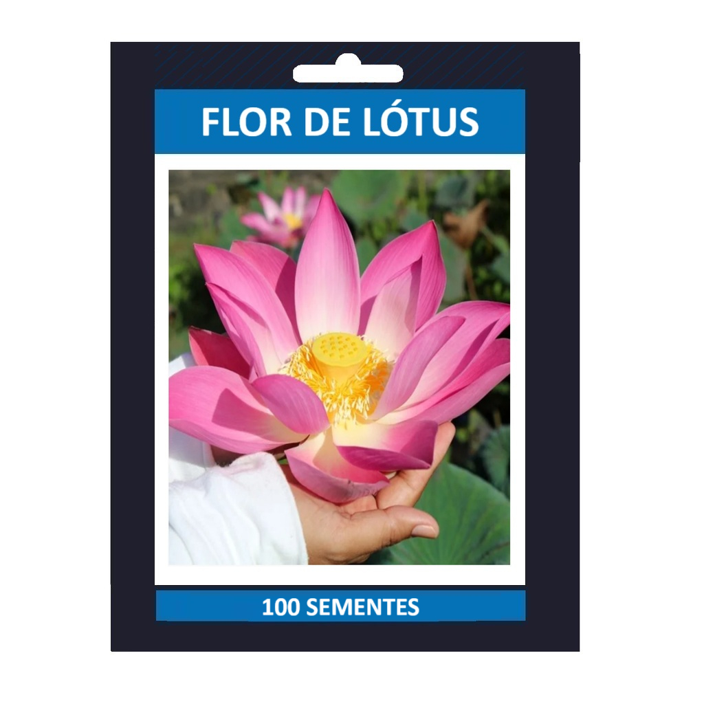 100 Sementes Premium Flor De Lotus Nelumbo Nucifera Ninféia Para Muda ENVIO SUPER RÁPIDO