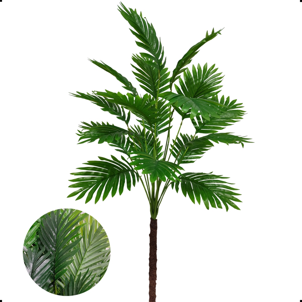 Coqueiro Anão: Guia Completo e Onde Comprar | BuscaProdutos