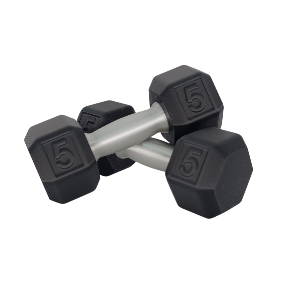 Kit com 2 Brinquedo Divertido Chocalho Em Formato de Halter Sextavado Academia Resistente e Criativo
