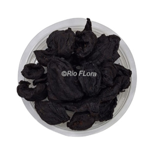 Garcinia Cambogia ㅤㅤㅤㅤㅤㅤㅤㅤㅤㅤㅤㅤ em Oferta na Shopee