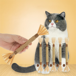 Bastão Mastigável Mordedor Natural para Gato – Limpeza de Dentes e Diversão em Oferta na Shopee