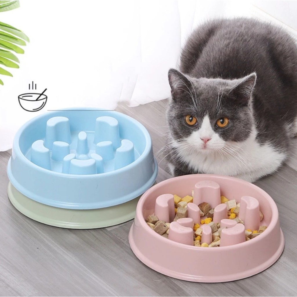 Comedouro Lento Interativo Premium – Educativo, Antiderrapante e Ideal p/ Cães e Gatos LR-0063