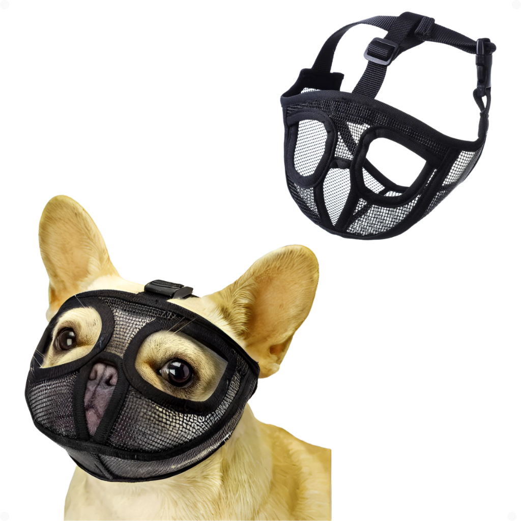 Cão Pequines: Guia Completo e Onde Comprar | BuscaProdutos