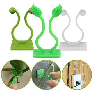 Clip Kit unidades Autoadesivo Fixação para Plantas de Parede Trepadeira Suporte Flores Folhas em Oferta na Shopee