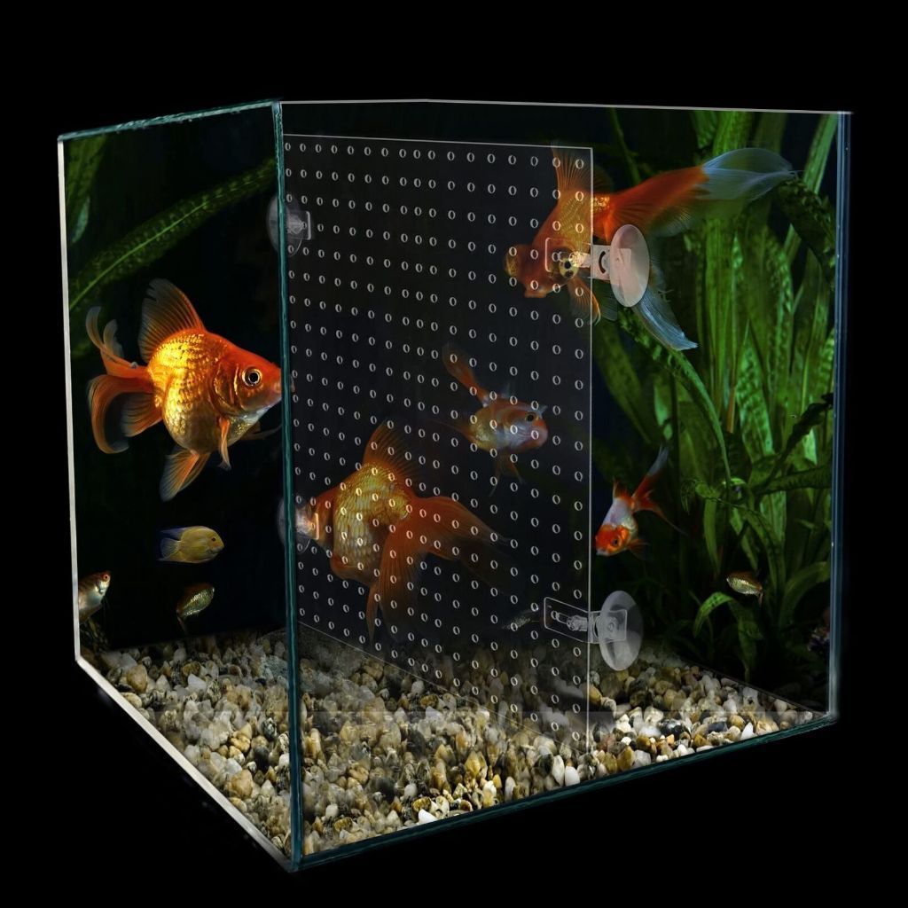 Colmeia Acrilica Acrilico Transparente Plastica 24x20cm Divisoria P/ Aquario divisorias