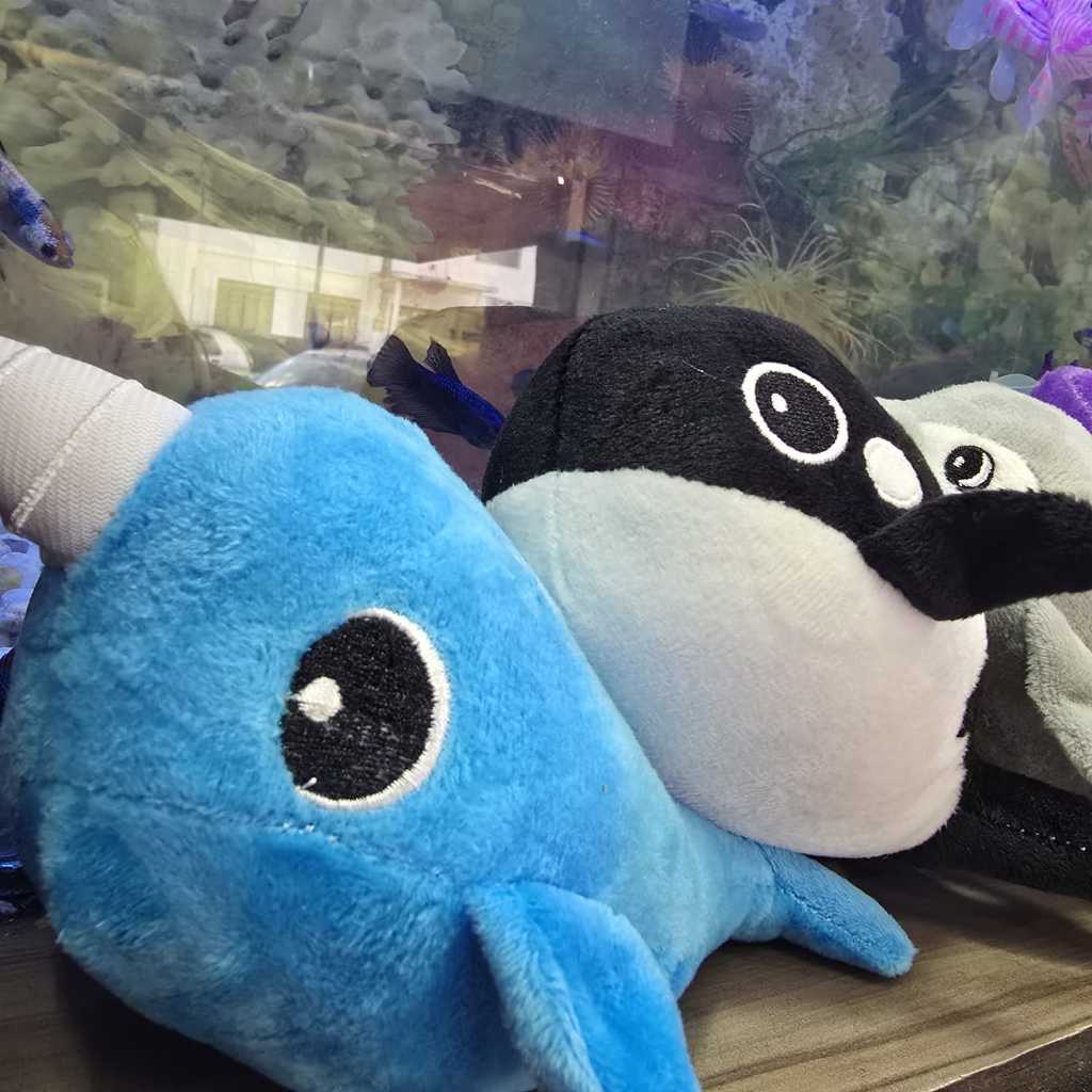 Brinquedo Pelúcia Com Apito Para Pet — imagem 2 de 2