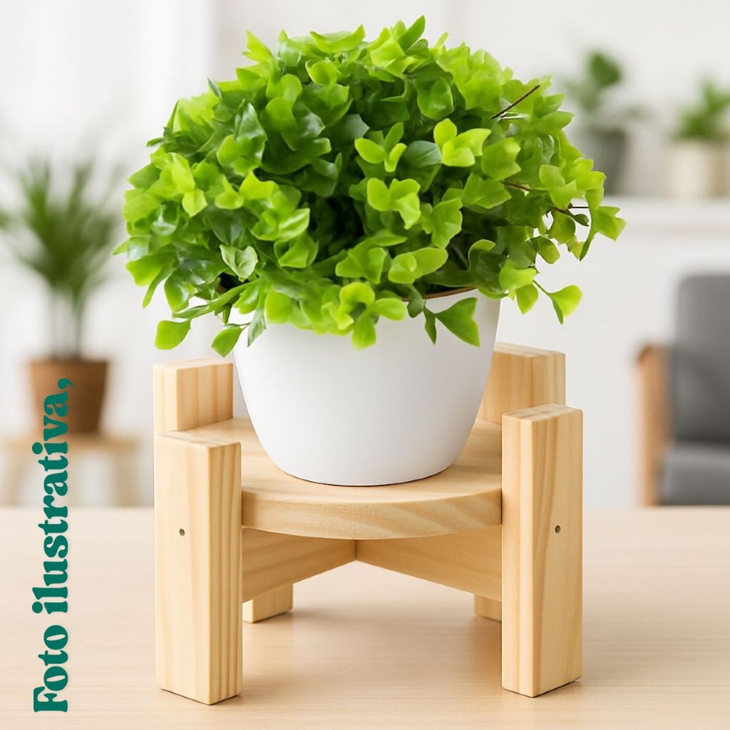 Suporte vaso violeta suculenta mimo casa home decor pai de planta