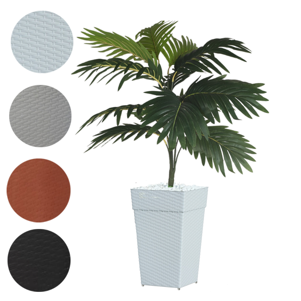 Coqueiro Vaso: Guia Completo e Onde Comprar | BuscaProdutos