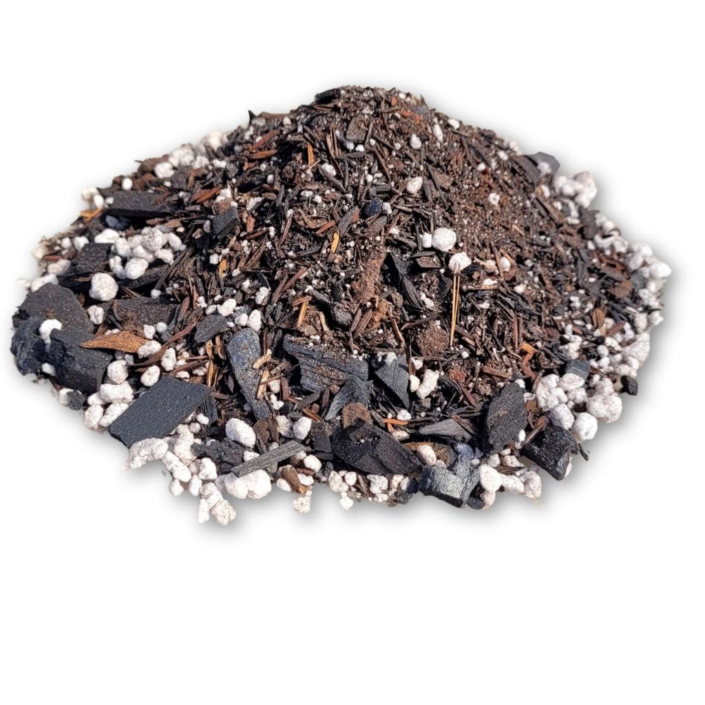 Substratos para Plantas: Onde Comprar | BuscaProdutos