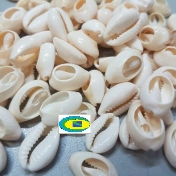 Brajá de Buzios: Onde Comprar | BuscaProdutos