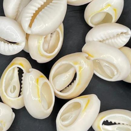 Braja Buzios: Guia Completo e Onde Comprar | BuscaProdutos