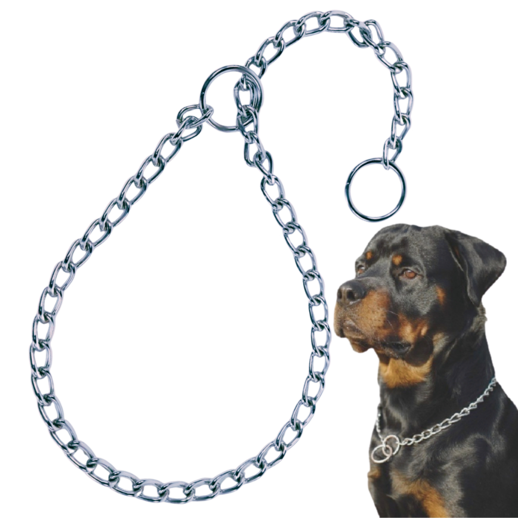 Corrente de Exposição Colar Reto Gargantilha Cães Enforcador - 3 tamanhos
