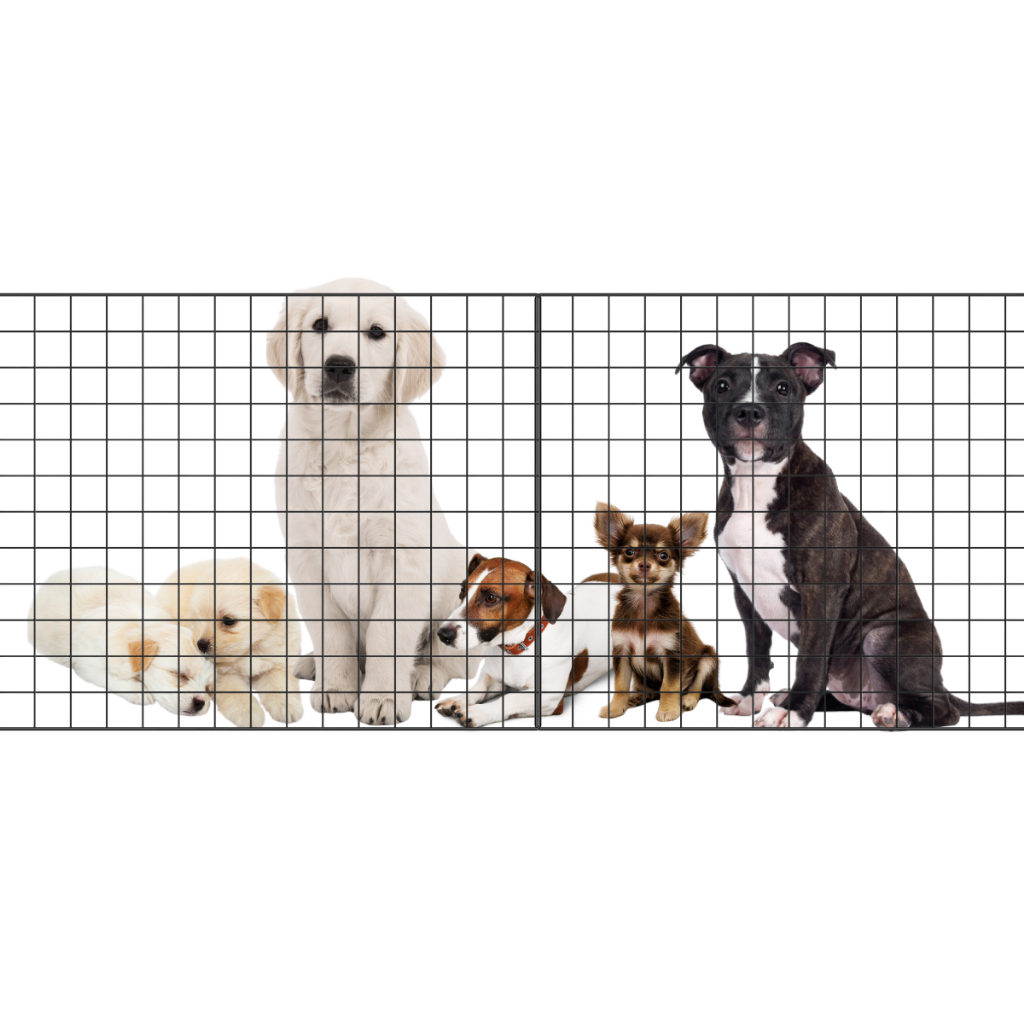 Tela Pet de Metal 60x1,00m Proteção e Segurança Limitador para Cachorro Até 4 Módulos