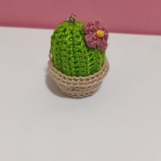 Chaveiro mini cacto amigurumi crochê chaveiro cactos 2 unidades