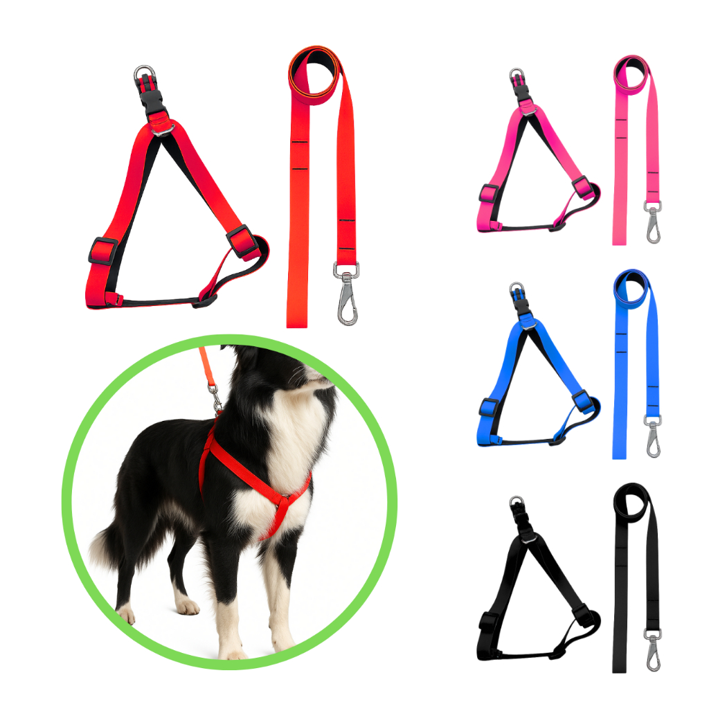 Conjunto coleira peitoral e guia com ajuste de tamanho para cães adestramento passeio pet